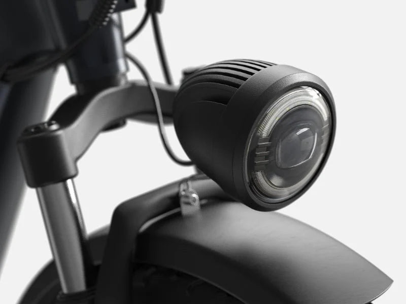 PUCKIPUPPY Electric Tricycle