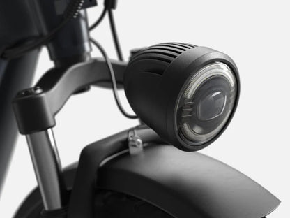 PUCKIPUPPY Electric Tricycle