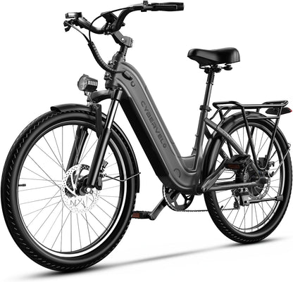 Bicicletta Elettrica 1000W ad Alte Prestazioni