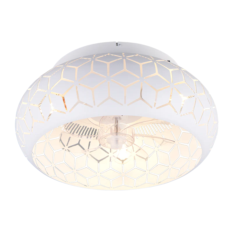 Plafondventilator Elynn met Lamp – Mat Zwart – Dimbaar LED – Plafondlamp Ventilator voor Koud & Warm Licht